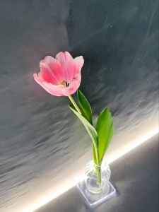 923BD3A7-F0A1-4582-8FD6-35B94BAA6B49